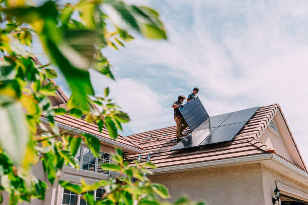 Roof Gutter Cleaning in Winfield, IL